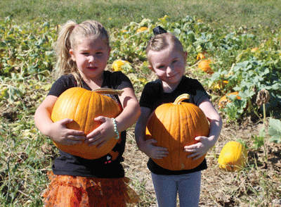 Becca Jackson and Brynlee Minogue got to harvest their pick of pumpkins during a visit to the MVHS Ag Farm last week. PHOTO BY MAGGIE MCMURRAY/Moapa Valley Progress.