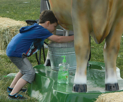 Karter Stapleton, 4, of Las Vegas, tries his hand at cow milking at a display provided by local 4H groups at the Logandale Fall Festival. PHOTO BY CATHERINE ELLERTON/Moapa Valley Progress.