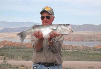 Fishing On Lake Mead (May 4, 2011)