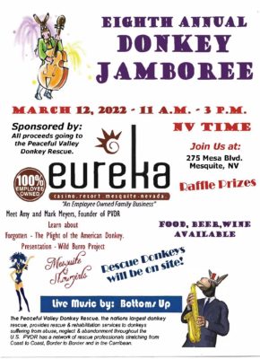 Donkey Jamboree @ Eureka Resort