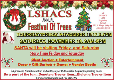 Festival of Trees @ OLSHACS (Old Logandale School)