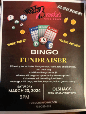 Brooke's Good Deeds Bingo Fundraiser @ OLSHACS (Old Logandale School)